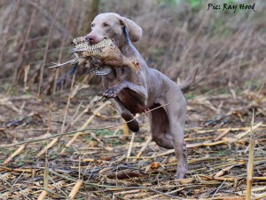 Kassie At Boreham